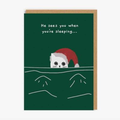 POSTAL "HE SEES YOU WHEN YOU'RE SLEEPING - CAT" OHH DEER