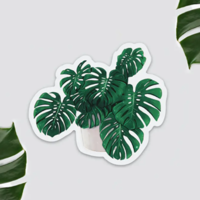 ÍMAN MONSTERA DELICIOSA PLANTYINTROVERTS