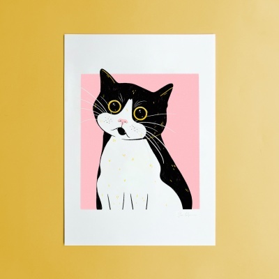 ILUSTRAÇÃO "IMPRESSED CAT" SARA FELGUEIRAS