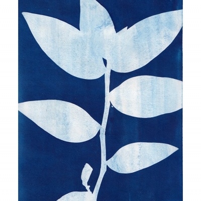 ORIGINAL "AZUL VIDA" CLÁUDIA SALGUEIRO