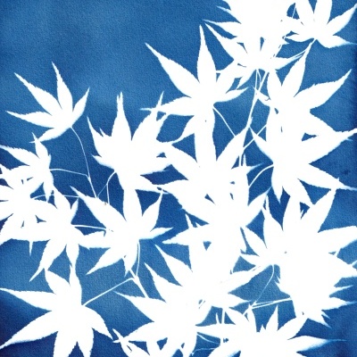 ORIGINAL "SER SOMBRA ONZE" CLÁUDIA SALGUEIRO