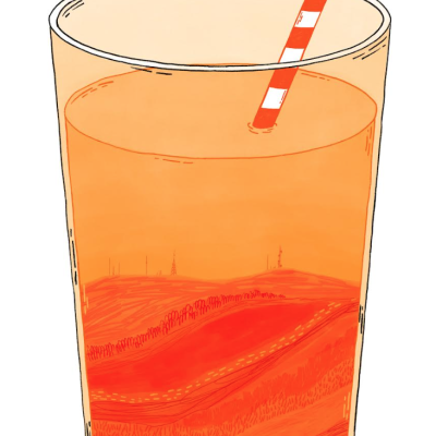 ILUSTRAÇÃO "LARANJADA AÇORIANA I" KIKA COM CAPA