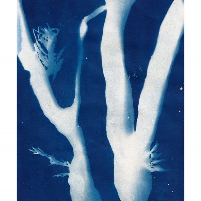 ORIGINAL "AZUL ATLÂNTICO" CLÁUDIA SALGUEIRO