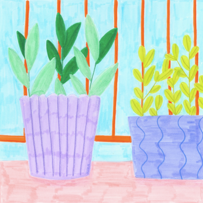 ORIGINAL "PLANTS" KIKA COM MOLDURA