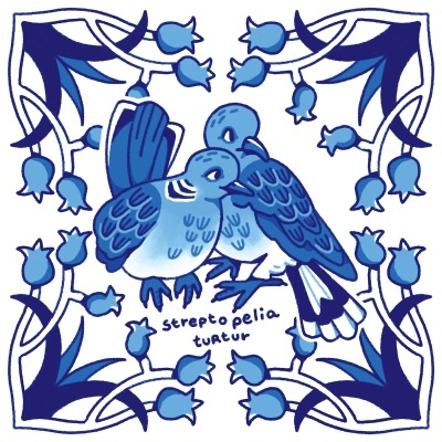 ILUSTRAÇÃO "AZULEJOS DE CASA - STREPTOPELIA TURTUR" MENDI MENDES