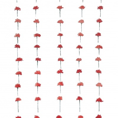 ILUSTRAÇÃO "50 ANOS, 50 CRAVOS" MARIA ROCHA