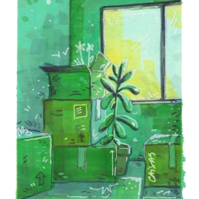 ORIGINAL "CAIXAS" DIOGO PAIXÃO