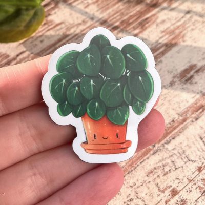 ÍMAN PILEA COM ROSTO PLANTYINTROVERTS