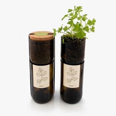 GROW BOTTLE "SALSA" LIFE IN A BAG