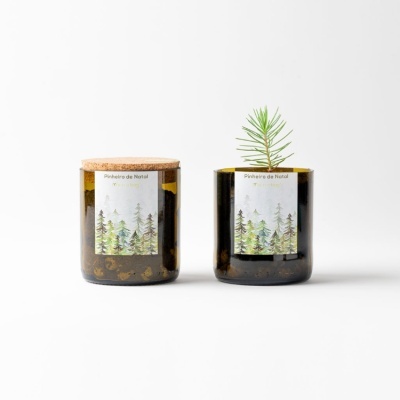 BOTTLE GARDEN - Pinheiro (Verde)