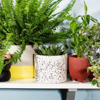 TERRAZZO PLANTER LARGE SASS BELLE