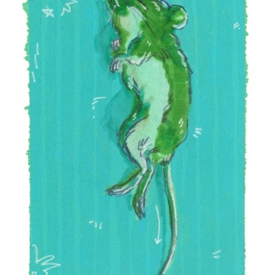 ORIGINAL "CREATURE" DIOGO PAIXÃO