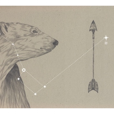 ILUSTRAÇÃO "VIAGEM MAIOR - URSA MAJOR" CLÁUDIA SALGUEIRO