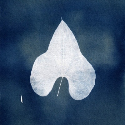 ORIGINAL "SER SOMBRA DOIS" CLÁUDIA SALGUEIRO