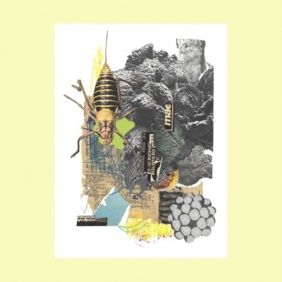 ILUSTRAÇÃO "IRACEMA" JEFFERSON RIB