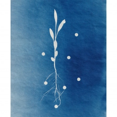 ORIGINAL "AZUL CÉU" CLÁUDIA SALGUEIRO