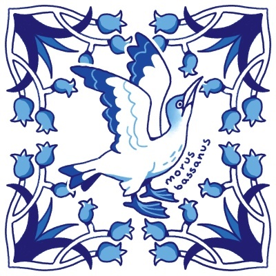 ILUSTRAÇÃO "AZULEJOS DE CASA - MORUS BASSANUS" MENDI MENDES