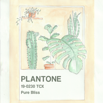ILUSTRAÇÃO "PLANTONE" INÊS AIRES