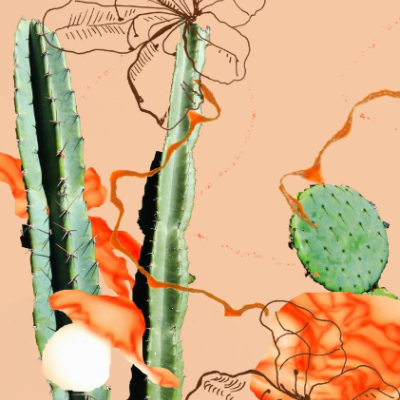 ILUSTRAÇÃO "CACTUS" FRANCISCA COSTA