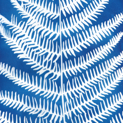 POSTAL "SER SOMBRA SEIS" CLÁUDIA SALGUEIRO