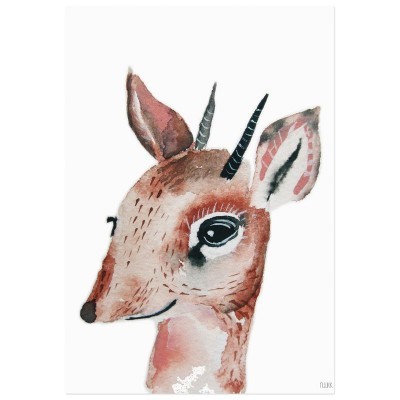 ILUSTRAÇÃO "ANTILOPE" NUUK