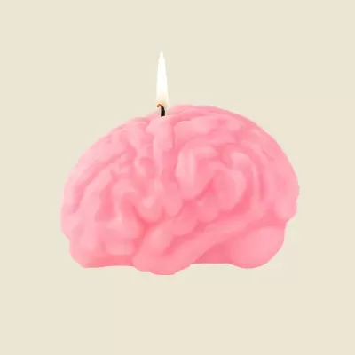 VELA "BRAIN - PINK" DONKEY