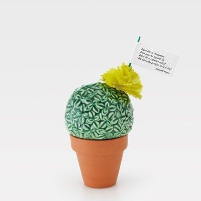 Cacto decorativo cerâmico verde com padrão branco em vaso de barro com flor amarela de papel e placa com texto