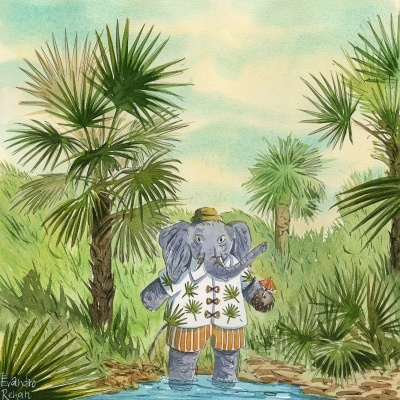 ORIGINAL "PALMEIRA-DAS-VASSOURAS" EVANDRO RENAN