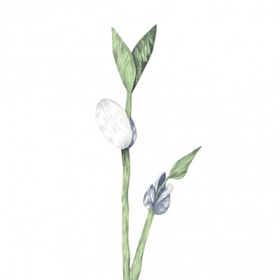 ILUSTRAÇÃO A4 "AR ARREBENTAR" CLAÚDIA SALGUEIRO