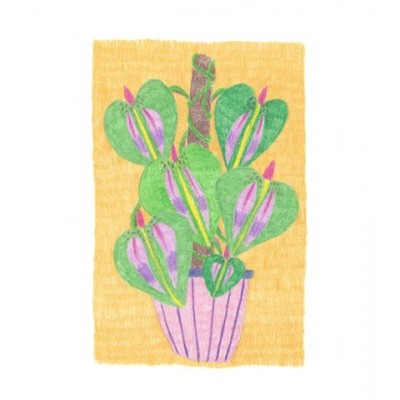 ILUSTRAÇÃO "PLANTA" DIANA COSTA