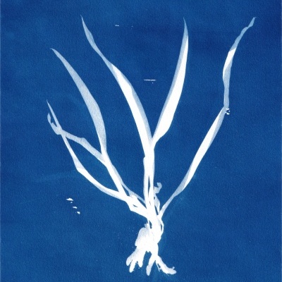 ORIGINAL "SER SOMBRA OITO" CLÁUDIA SALGUEIRO