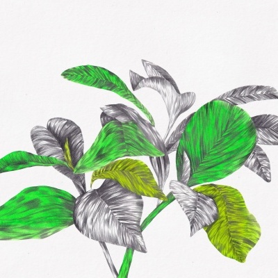 ORIGINAL "VERDE PLANTA" CLÁUDIA SALGUEIRO