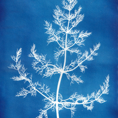 POSTAL "SER SOMBRA DEZ" CLÁUDIA SALGUEIRO