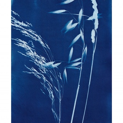 ORIGINAL "AZUL BRISA" CLÁUDIA SALGUEIRO