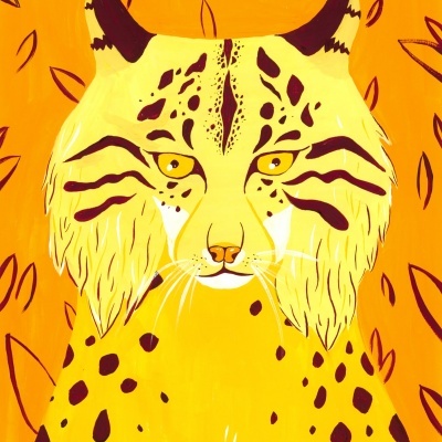 ILUSTRAÇÃO "LINCE IBÉRICO" SARA FELGUEIRAS
