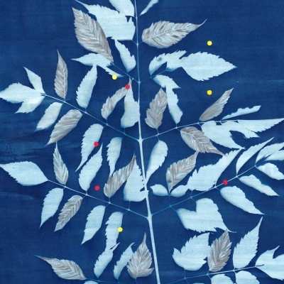 ORIGINAL "VIAJAR NAS SOMBRAS" CLÁUDIA SALGUEIRO