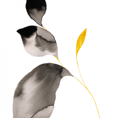 ORIGINAL "O TOQUE DOURADO" MARIA ROCHA