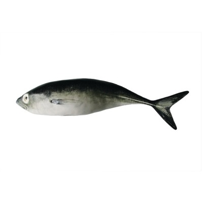 CHICHARRO BORDALLO PINHEIRO