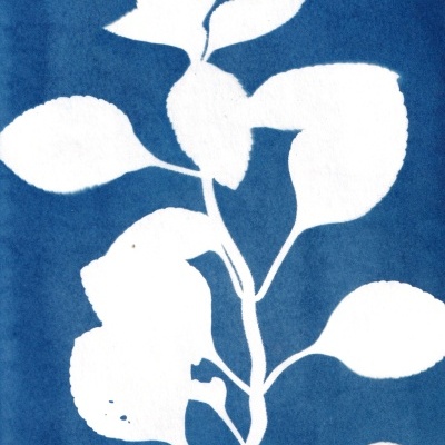 ORIGINAL "SER SOMBRA QUATRO" CLÁUDIA SALGUEIRO