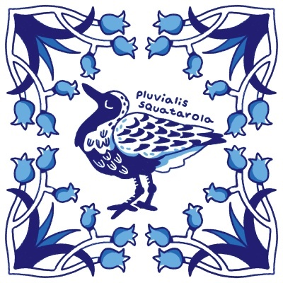 ILUSTRAÇÃO "AZULEJOS DE CASA - PLUVIALIS SQUATAROLA" MENDI MENDES