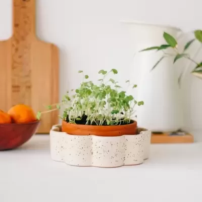 VASO AUTO-IRRIGÁVEL "GEORGE - BRANCO SALPICADO" PEPIN