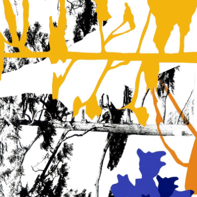 ILUSTRAÇÃO "DOUBLE TREE" FRANCISCA COSTA