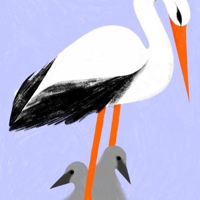 ILUSTRAÇÃO "CEGONHA" OTHER MARIA