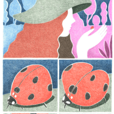 ORIGINAL "A JOANINHA" BÁRBARA AMARAL