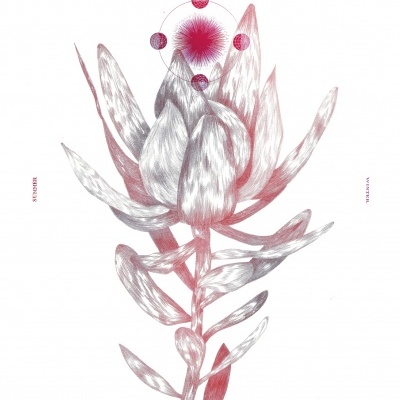 ILUSTRAÇÃO "CHRISTMAS FLOWER" CLÁUDIA SALGUEIRO