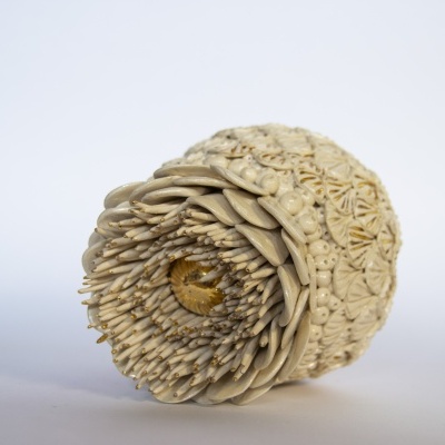 JARDIM ENCANTADO - "PLANT SURREALISM III" - ARAM RIOS