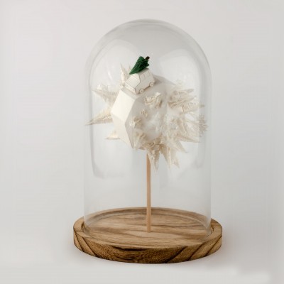 MUNDO FINDING THE PERFECT CHRISTMAS TREE 2ºESQ