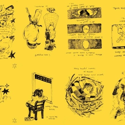 ZINE "WHY I LIKE BIRDS" MENDI MENDES