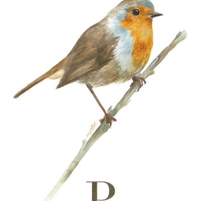 ILUSTRAÇÃO "P" ANA RITA ROBALO