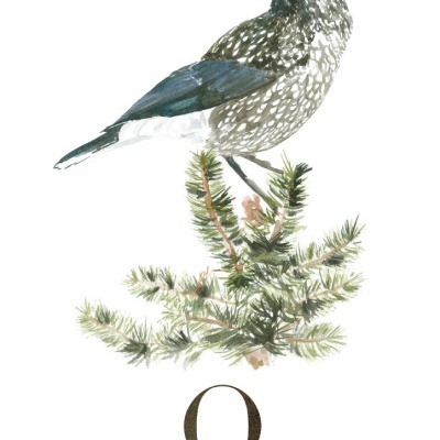 ILUSTRAÇÃO "Q" ANA RITA ROBALO